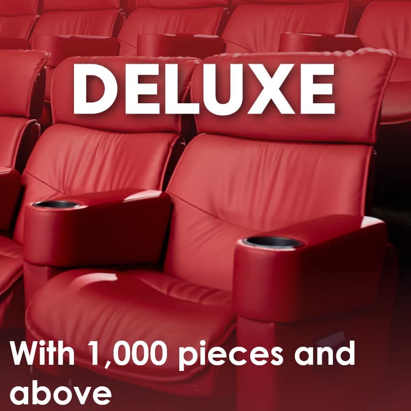 DELUXE PASSS
